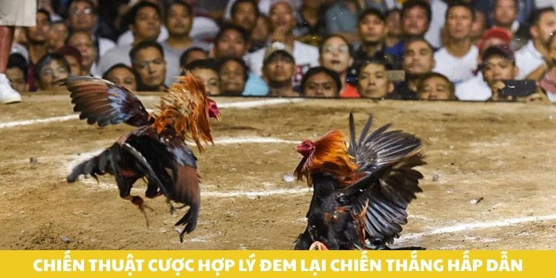 Chiến thuật cược hợp lý đem lại chiến thắng hấp dẫn.