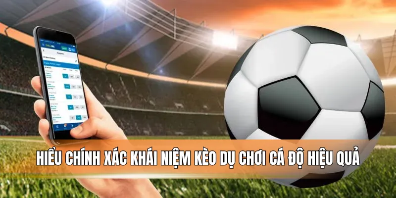 Hiểu chính xác khái niệm kèo dụ chơi cá độ hiệu quả.